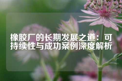 橡胶厂的长期发展之道：可持续性与成功案例深度解析