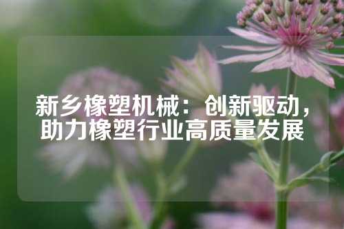 新乡橡塑机械：创新驱动，助力橡塑行业高质量发展