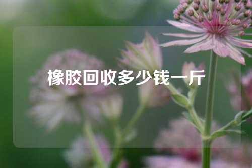橡胶回收多少钱一斤