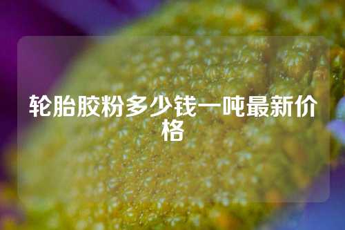 轮胎胶粉多少钱一吨最新价格