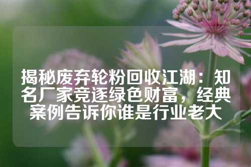 揭秘废弃轮粉回收江湖：知名厂家竞逐绿色财富，经典案例告诉你谁是行业老大