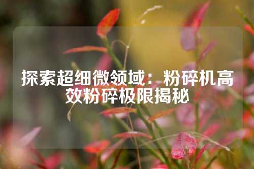 探索超细微领域：粉碎机高效粉碎极限揭秘