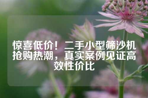 惊喜低价！二手小型筛沙机抢购热潮，真实案例见证高效性价比