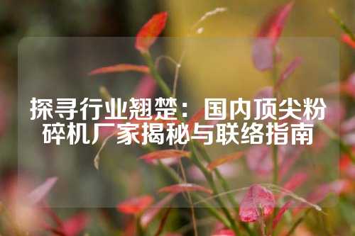 探寻行业翘楚：国内顶尖粉碎机厂家揭秘与联络指南