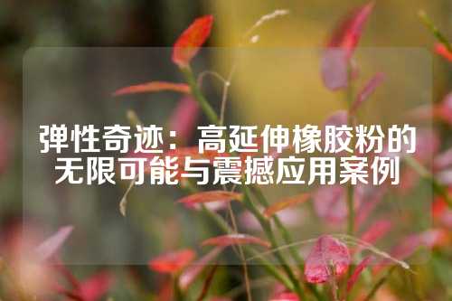 弹性奇迹：高延伸橡胶粉的无限可能与震撼应用案例