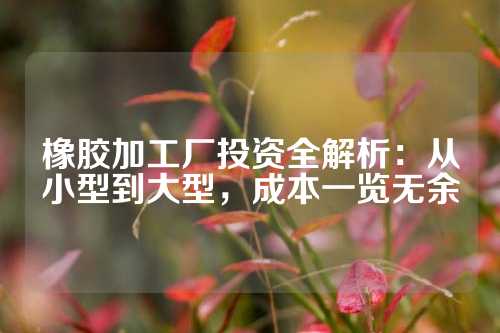 橡胶加工厂投资全解析：从小型到大型，成本一览无余