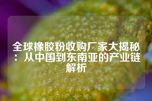 全球橡胶粉收购厂家大揭秘：从中国到东南亚的产业链解析