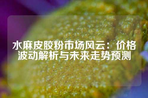 水麻皮胶粉市场风云：价格波动解析与未来走势预测