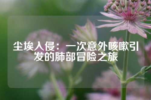 尘埃入侵：一次意外咳嗽引发的肺部冒险之旅