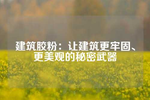 建筑胶粉：让建筑更牢固、更美观的秘密武器