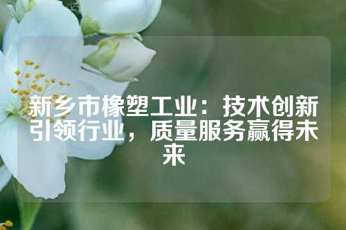 新乡市橡塑工业：技术创新引领行业，质量服务赢得未来