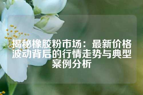 揭秘橡胶粉市场：最新价格波动背后的行情走势与典型案例分析