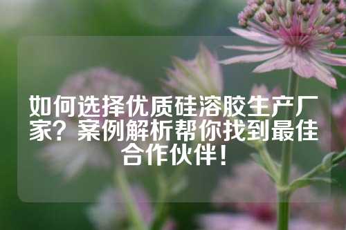 如何选择优质硅溶胶生产厂家？案例解析帮你找到最佳合作伙伴！