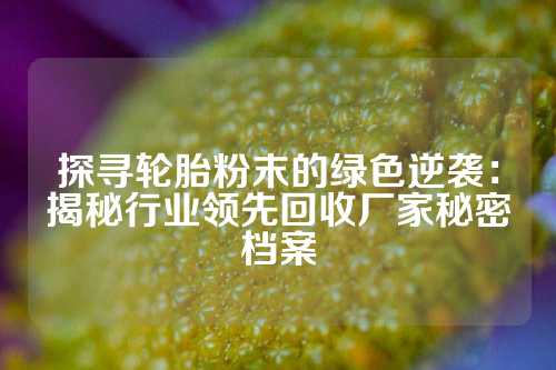 探寻轮胎粉末的绿色逆袭：揭秘行业领先回收厂家秘密档案