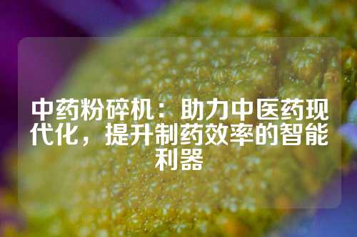 中药粉碎机：助力中医药现代化，提升制药效率的智能利器