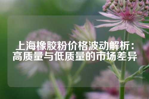 上海橡胶粉价格波动解析：高质量与低质量的市场差异