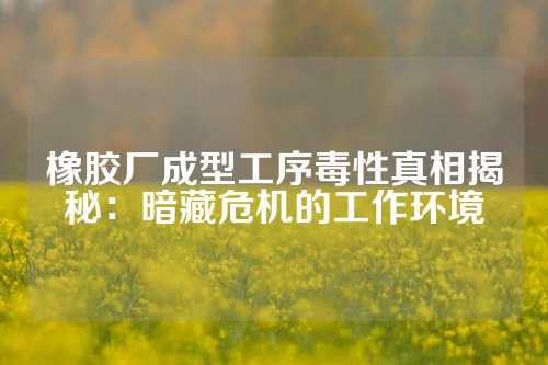 橡胶厂成型工序毒性真相揭秘：暗藏危机的工作环境