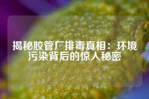 揭秘胶管厂排毒真相：环境污染背后的惊人秘密
