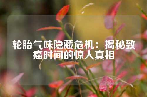 轮胎气味隐藏危机：揭秘致癌时间的惊人真相