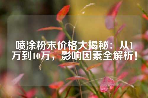 喷涂粉末价格大揭秘：从1万到10万，影响因素全解析！