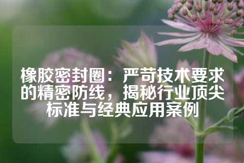 橡胶密封圈：严苛技术要求的精密防线，揭秘行业顶尖标准与经典应用案例