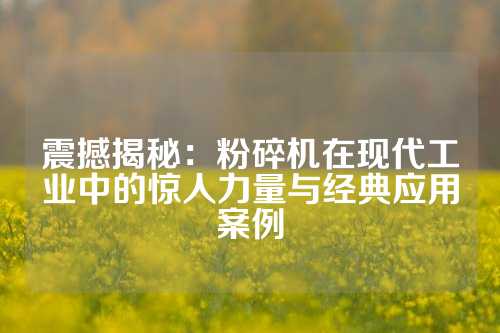 震撼揭秘：粉碎机在现代工业中的惊人力量与经典应用案例