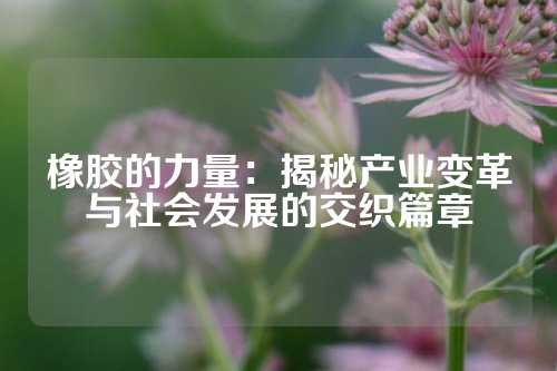 橡胶的力量：揭秘产业变革与社会发展的交织篇章