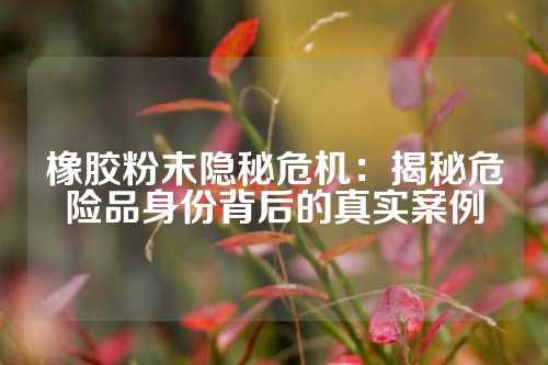 橡胶粉末隐秘危机：揭秘危险品身份背后的真实案例