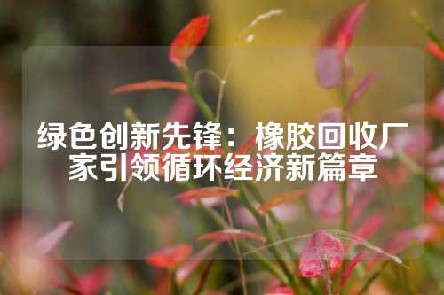 绿色创新先锋：橡胶回收厂家引领循环经济新篇章