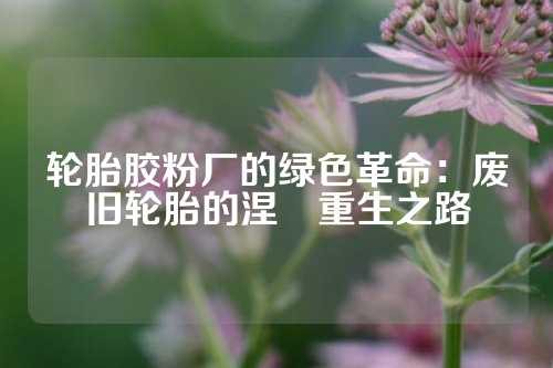 轮胎胶粉厂的绿色革命：废旧轮胎的涅槃重生之路