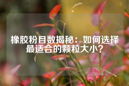 橡胶粉目数揭秘：如何选择最适合的颗粒大小？