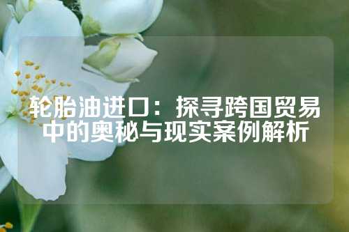 轮胎油进口：探寻跨国贸易中的奥秘与现实案例解析