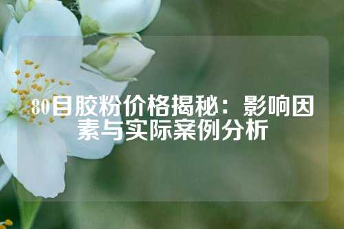 80目胶粉价格揭秘：影响因素与实际案例分析