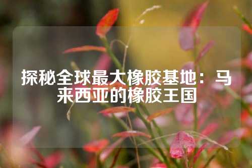 探秘全球最大橡胶基地：马来西亚的橡胶王国