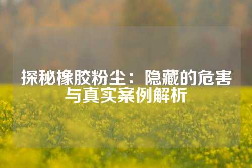 探秘橡胶粉尘：隐藏的危害与真实案例解析