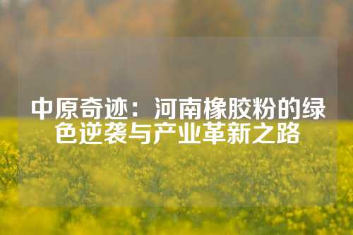 中原奇迹：河南橡胶粉的绿色逆袭与产业革新之路