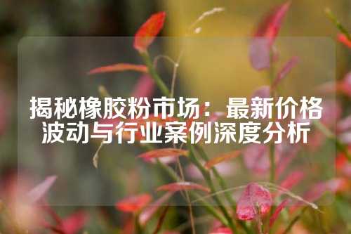 揭秘橡胶粉市场：最新价格波动与行业案例深度分析