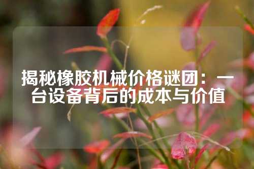 揭秘橡胶机械价格谜团：一台设备背后的成本与价值