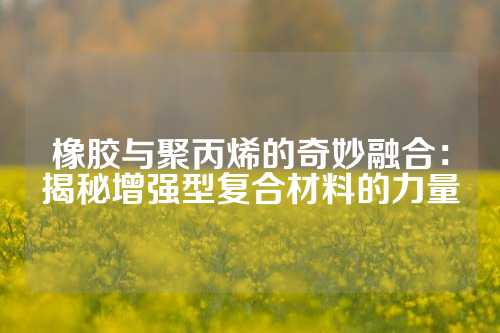 橡胶与聚丙烯的奇妙融合：揭秘增强型复合材料的力量