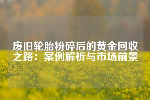 废旧轮胎粉碎后的黄金回收之路：案例解析与市场前景