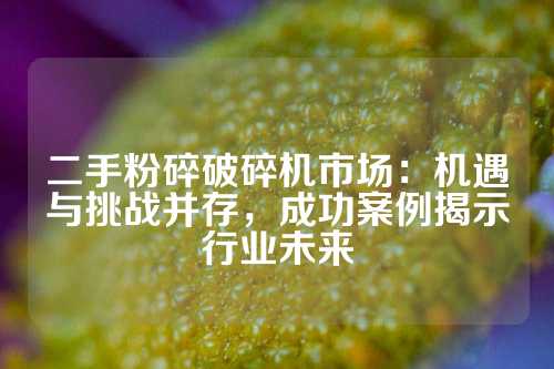 二手粉碎破碎机市场：机遇与挑战并存，成功案例揭示行业未来