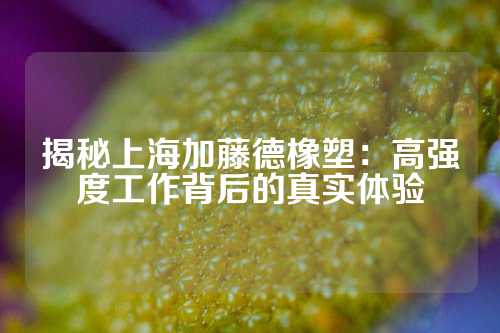 揭秘上海加藤德橡塑：高强度工作背后的真实体验