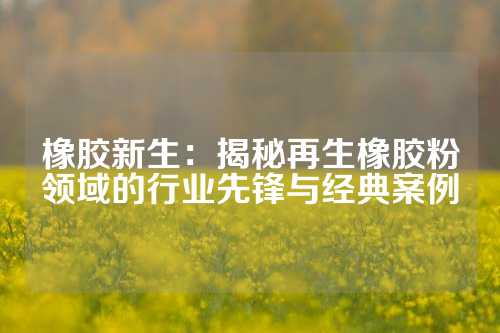橡胶新生：揭秘再生橡胶粉领域的行业先锋与经典案例