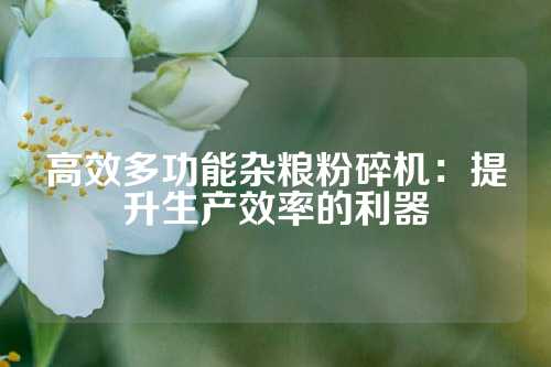 高效多功能杂粮粉碎机：提升生产效率的利器