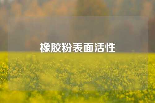 橡胶粉表面活性