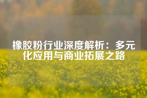 橡胶粉行业深度解析：多元化应用与商业拓展之路