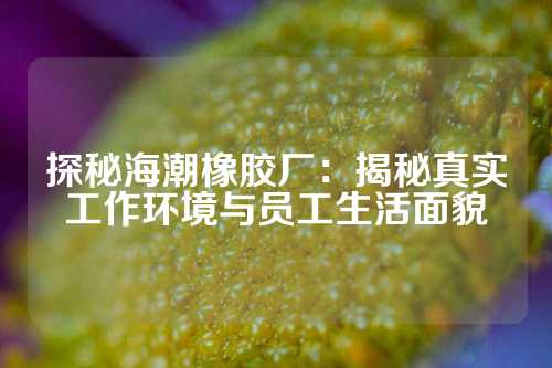 探秘海潮橡胶厂：揭秘真实工作环境与员工生活面貌