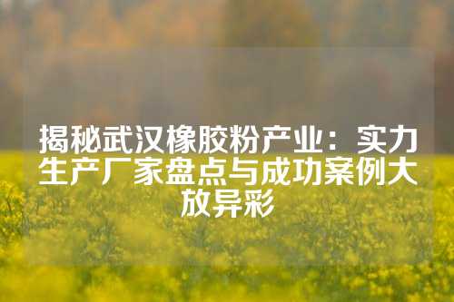 揭秘武汉橡胶粉产业：实力生产厂家盘点与成功案例大放异彩