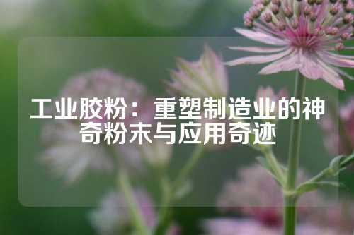 工业胶粉：重塑制造业的神奇粉末与应用奇迹