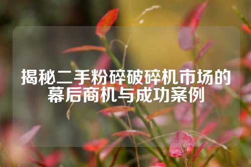 揭秘二手粉碎破碎机市场的幕后商机与成功案例